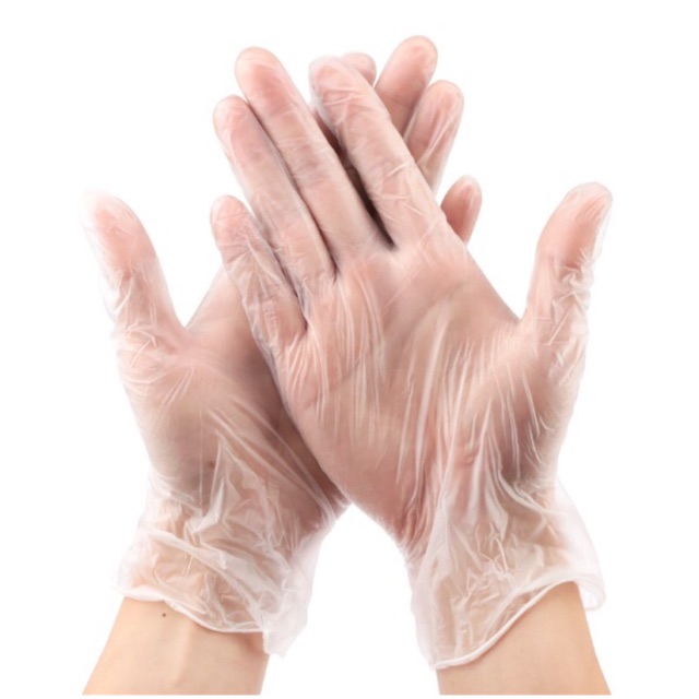 Vinyl Gloves