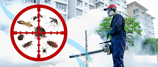 Professional Pest Control Services in Qatar