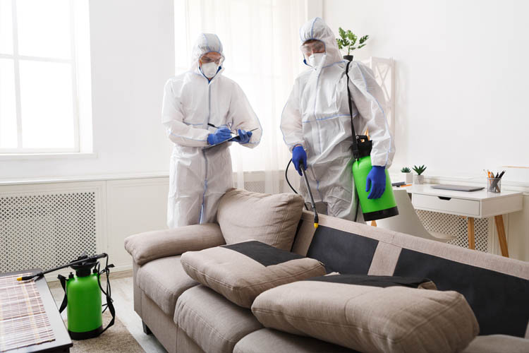 Home sanitizing service in Qatar