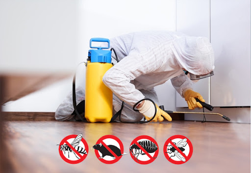 Pest control service in Qatar